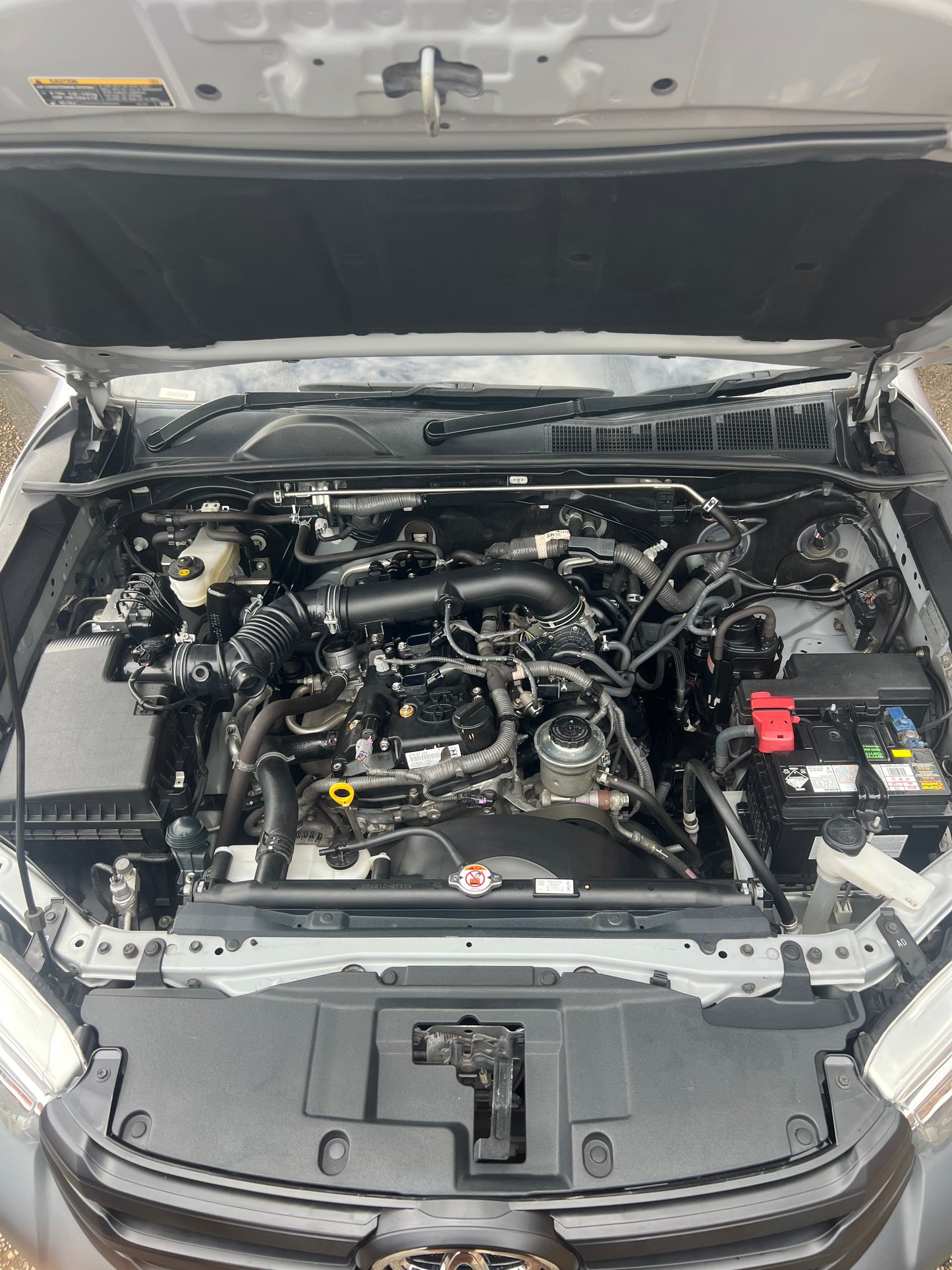 Engine Bay Cleaning